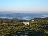 Cumbria